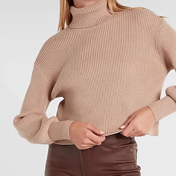 Express Tops - Express RIBBED TURTLENECK SWEATER